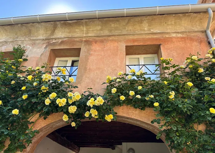 Alla vigna Bassano del Grappa