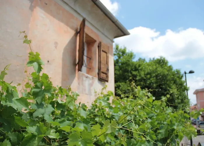 Alla vigna Bassano del Grappa